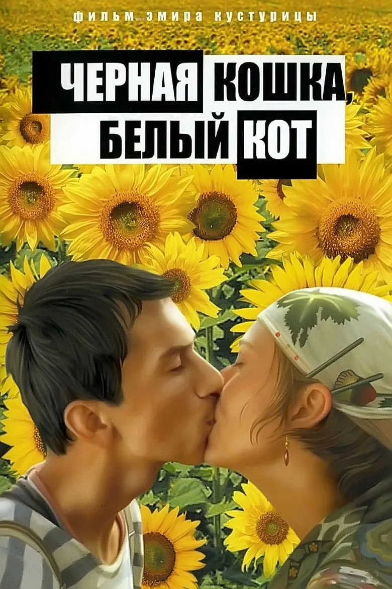 Постер Чёрная кошка, белый кот