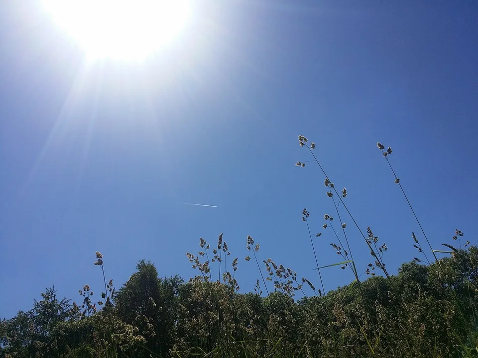 До +23 °C и местами дожди: погода в Беларуси 14 сентября